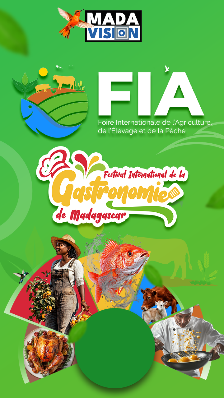 FIA & FIG 2025